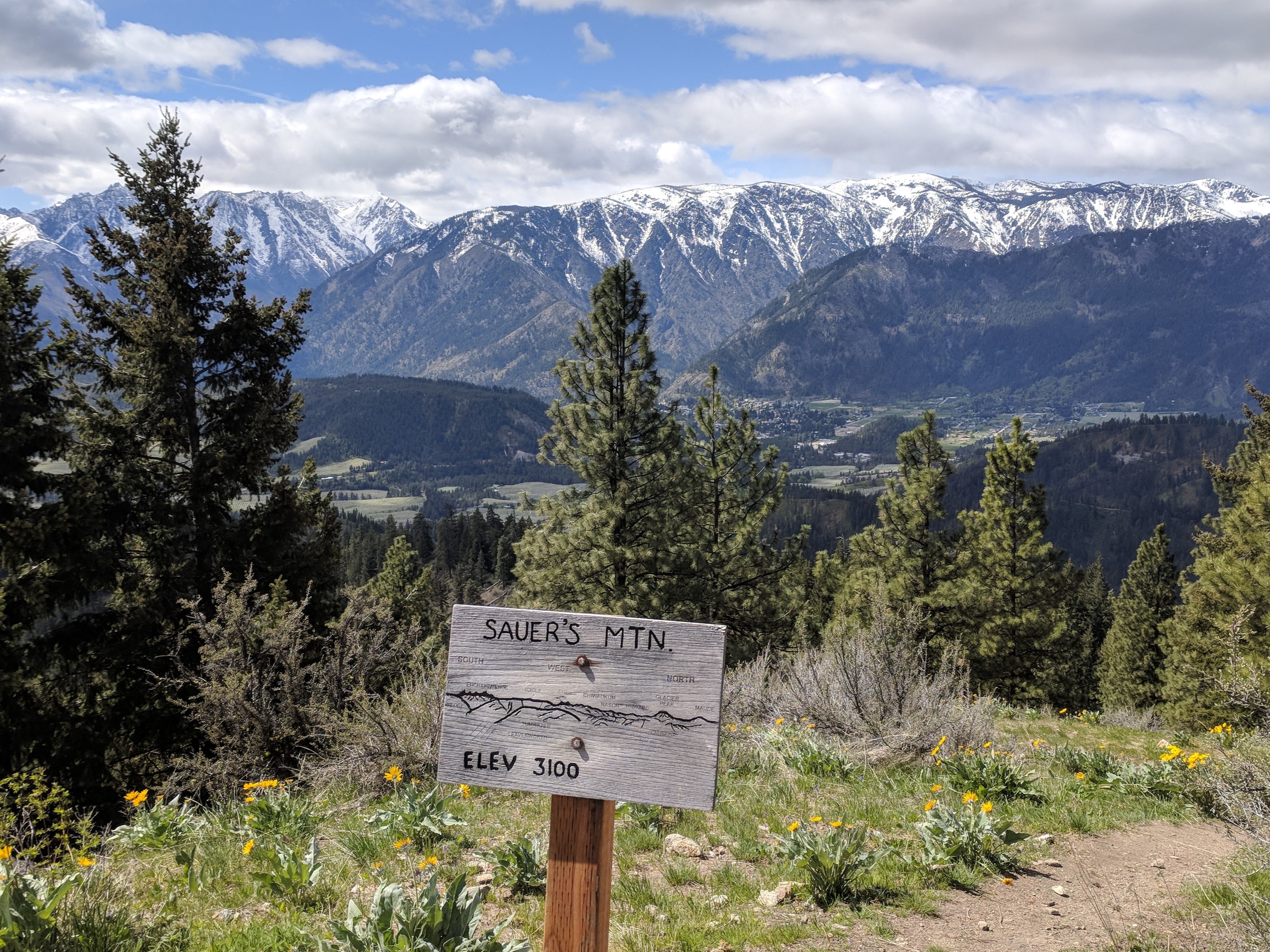 Sauer's Mountain — Washington Trails Association
